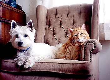 best friends